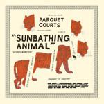 Sunbathing Animal Sunbathing Animal
