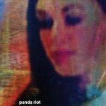 pandariot.jpg